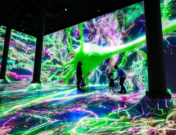 Artechouse Life of Neuron02