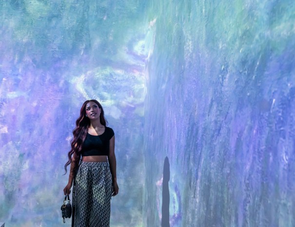 Monets Garden Immersive Experience