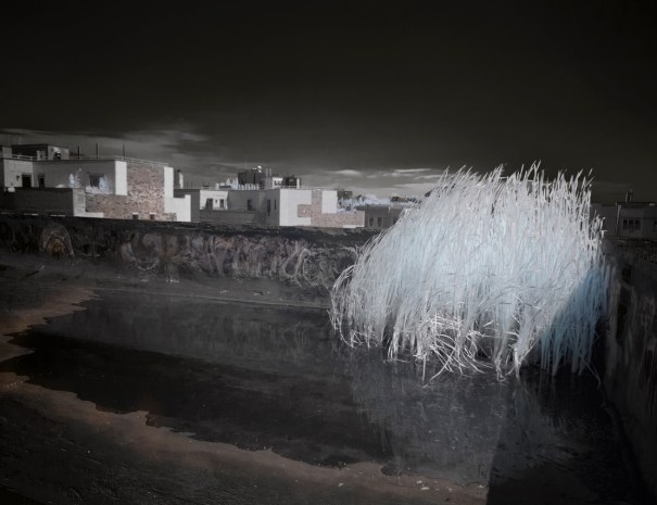 Ulmer Brewery Photo Tour