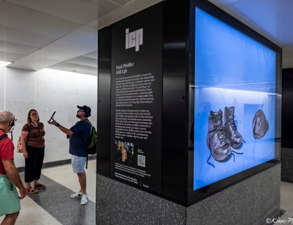 art-central-park-madison13-web