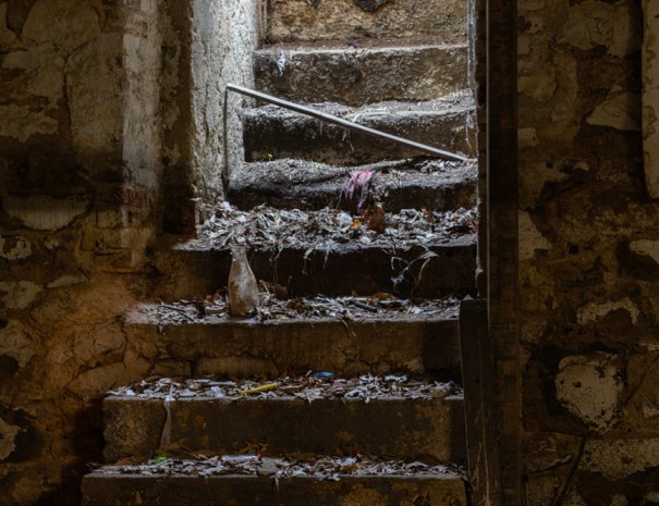 Ulmer Brewery Photo Tour