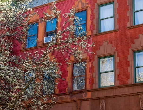 Buildings in Harlem