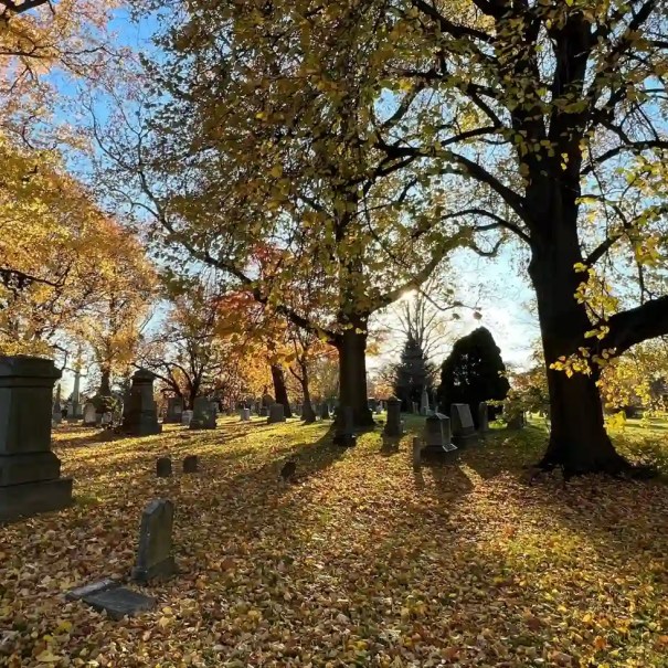 Trees and gravestones at The Green-Wood Cemetery