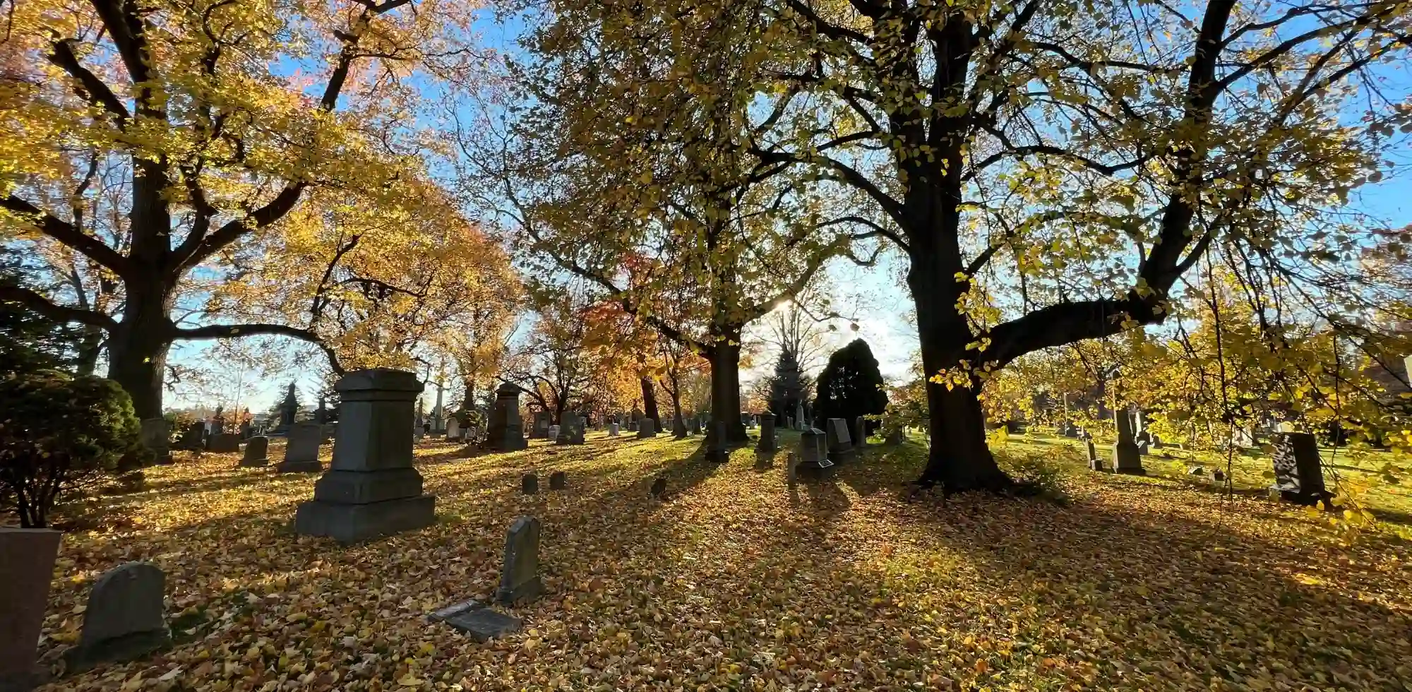 Trees and gravestones at The Green-Wood Cemetery