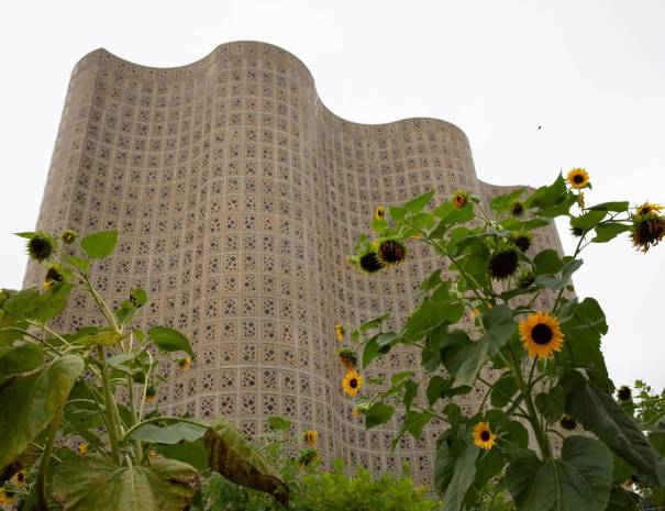 Undulating concrete and glass wall of the New York Hall of Science Great Hall rising behind sunflowers in Queens